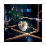 MAYR, ALBERT - DROP STUDIES