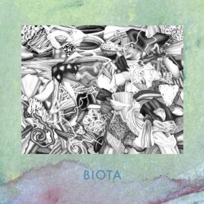 BIOTA - MEASURED NOT FOUND