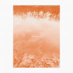 ROSE, BRAD E. - THE SOUND OF LEAVES