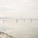 IELASI, GIUSEPPE & RICCARDO D. WANKE - WITH THE TIME, WE LEARNED TO ASK LESS