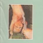 PREGGY PEGGY AND THE LAZY BABYMAKERS - GET AN ACE CASE OF THE MEASLES